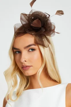 Quiz Flower Headband Fascinator Brown Best