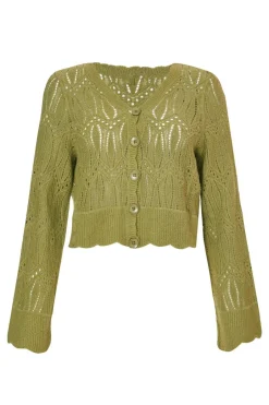 Quiz Knit Cropped Cardigan Khaki New