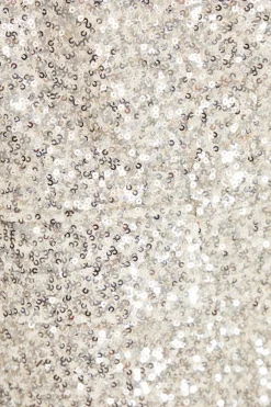 Quiz Petite Champagne Sequin Ruched Blazer