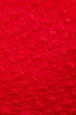 Quiz Red Textured Crop Top Best