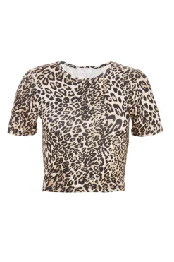 Quiz Stone Leopard Print Cropped T-shirt Online